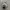 Ellesse Vintage Glass Pria silver black photo 2