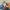 Casual Sweatshirt Pria multicolor photo 5