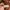 Valentino Luxury Avant Garde Sweater Pria brown photo 6