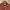 Valentino Luxury Avant Garde Sweater Pria brown photo 2