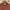 Valentino Luxury Avant Garde Sweater Pria Brown