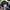 Abercrombie & Fitch Y2K Hoody Pria navy black photo 2