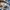 Adidas Indie Casual Sneakers Pria white tan photo 4