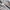 Adidas Indie Casual Sneakers Pria white tan photo 2