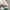 MLB Streetwear Sportswear Varsity jacket Pria green cream photo 4
