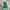MLB Streetwear Sportswear Varsity jacket Pria green cream photo 1