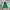 MLB Streetwear Sportswear Varsity Jacket Pria Green Cream