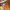 Nike Streetwear Casual Sneakers Pria orange yellow photo 4