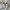 Gucci Luxury Lolita Sneakers Wanita white red photo 3
