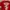 Alohas Vintage Y2K T-shirt Pria Red