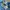 H&M Skater Casual Sweatpants & Joggers Pria blue photo 2