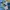 H&M Skater Casual Sweatpants & Joggers Pria Blue