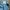 H&M Skater Casual Sweatpants & Joggers Pria blue photo 3