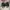 VANS Skater Sneakers Pria black photo 3