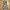 Realisation Par Skirt Wanita tan black photo 3
