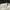 Y2K Casual T-shirt Pria white photo 2