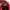 Nike Air Jordan Casual Sneakers Pria red black photo 6