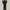 Luxury Goth Evening dress Wanita black photo 4