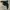 Nike Y2K Luxury Casual dress Wanita black photo 5