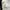 Vintage Coquette Going out dress Wanita white photo 4