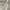 Vintage Coquette Going out dress Wanita white photo 8