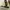 VANS Vintage Casual Sneakers Pria white black photo 1
