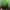 MLB Y2K Casual Hat Kids green blue photo 1