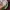 MLB Y2K Casual Hat Kids green blue photo 4