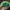 MLB Y2K Casual Hat Kids green blue photo 2