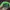 MLB Y2K Casual Hat Kids Green Blue