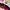 Canterbury Y2K Casual Polo Shirt Pria Red Black