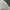 Converse Streetwear Sweatshirt Pria gray photo 5