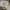 Converse Streetwear Sweatshirt Pria gray photo 4