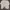 Converse Streetwear Sweatshirt Pria gray photo 1