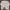 Converse Streetwear Sweatshirt Pria Gray