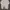 Champion Vintage Streetwear Sweatshirt Pria gray photo 1