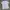American Eagle Sportswear Casual Polo Shirt Pria White