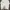 Champion Streetwear Skater Sweatshirt Pria white photo 1