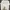 Champion Streetwear Skater Sweatshirt Pria White