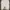 Champion Streetwear Skater Sweatshirt Pria white photo 2