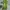 Sportswear Sneakers Kids green photo 4