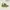 Sportswear Sneakers Kids green photo 1