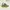Sportswear Sneakers Kids Green