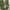 Converse Streetwear Casual Sneakers Pria white photo 5