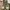 Converse Streetwear Casual Sneakers Pria white photo 4