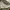 Converse Streetwear Casual Sneakers Pria white photo 3