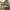 Converse Streetwear Casual Sneakers Pria white photo 1