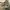 Converse Streetwear Casual Sneakers Pria White