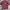 Uniqlo Skater Minimalist T-shirt Pria burgundy red photo 1