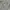 Casual Polo shirt Pria gray photo 8